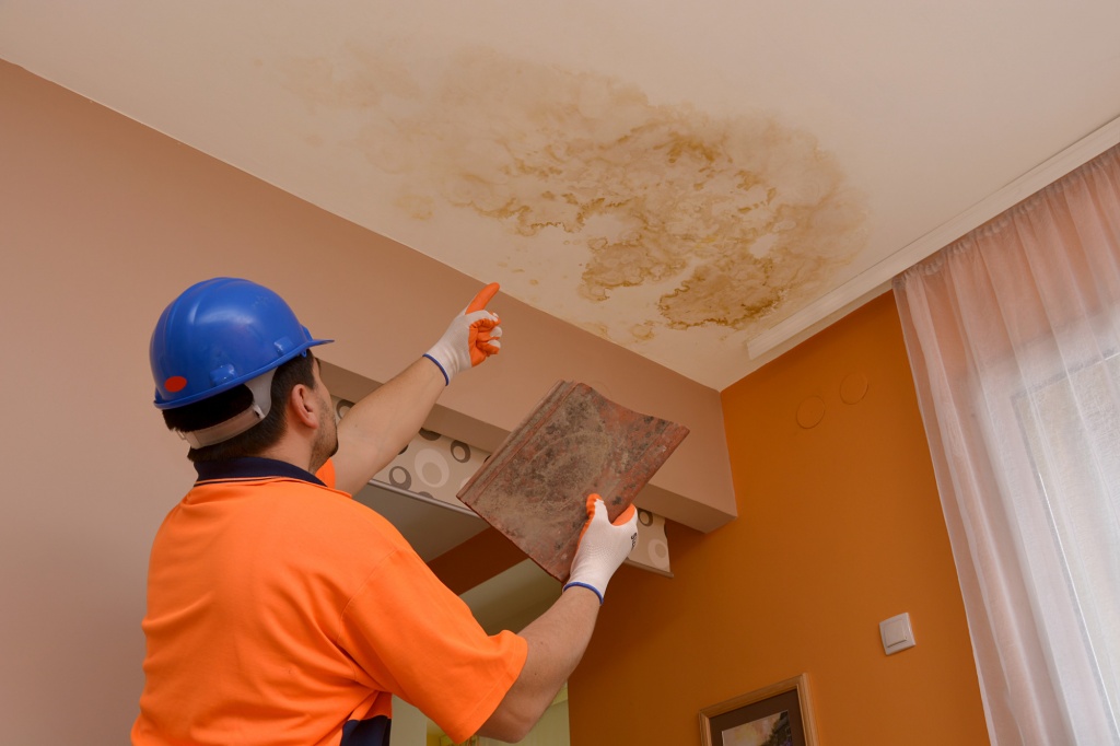 The Critical Signs You Have Water Damage